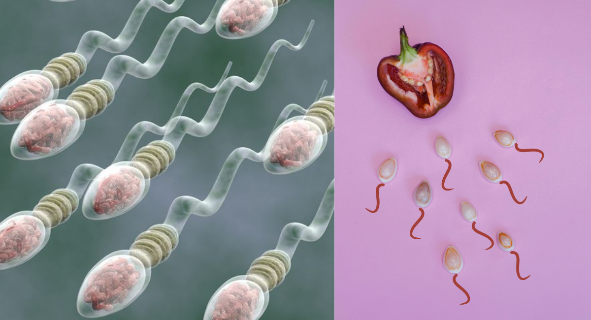 SPERM